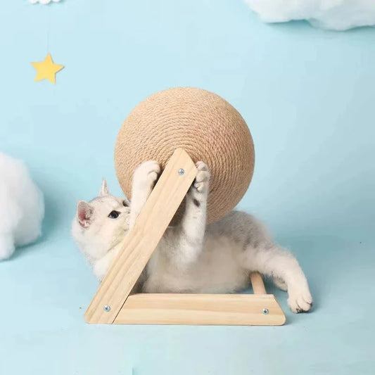 A Cat Scratching Ball